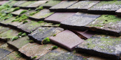 Pangbourne roof repair costs